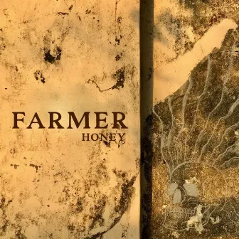 Honey by Farmer