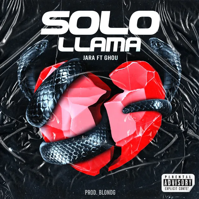 Solo Llama