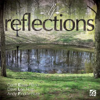 Reflections by Andy Findon