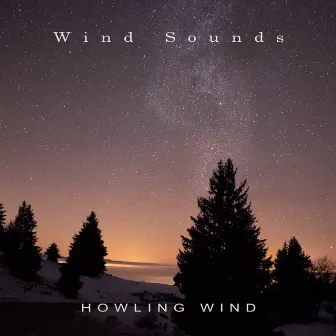 Howling Wind by Wind Sounds