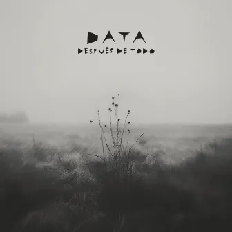 Después de Todo by Data