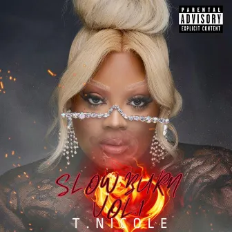 Slow Burn, Vol. 1 by T. Nicole