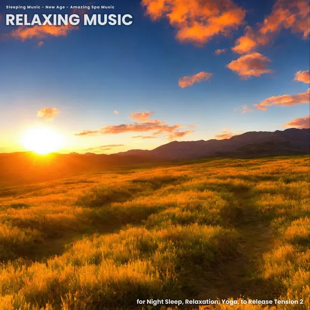 Relaxing Music for Night Sleep, Relaxation, Yoga, to Release Tension 2