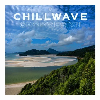 PI ChillWave Grooves 12 by Walter Silva