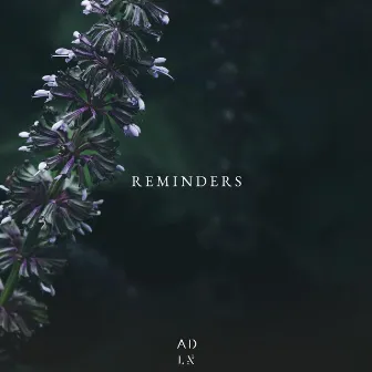 Reminders by Arda Leen