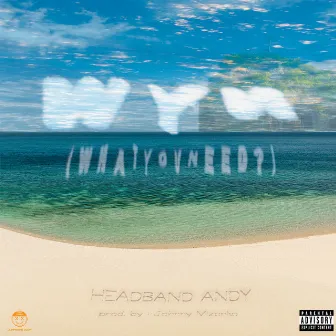 WYN (WHATYOUNEED?) by Headband Andy