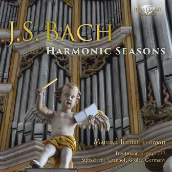 J.S. Bach: Harmonic Seasons by Manuel Tomadin