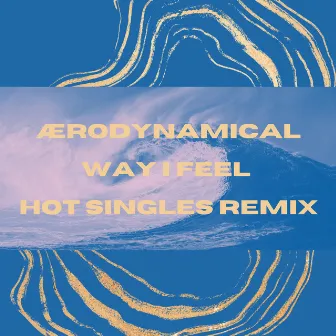 Way I Feel (Hot Singles Remix) by Hot Singles