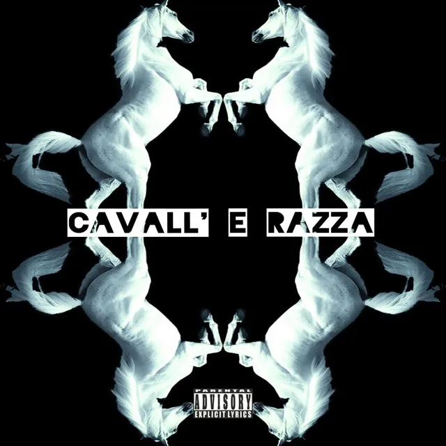 Cavall' e Razza