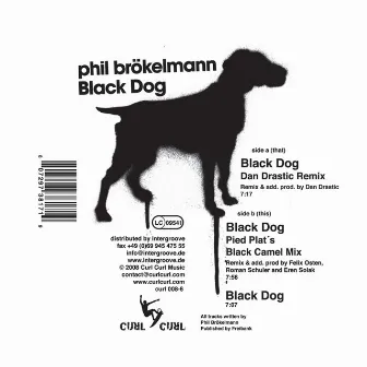 Black Dog by Phil Brökelmann