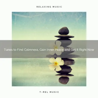 2020 Best: Tunes to Find Calmness, Gain Inner Peace and Get It Right Now by Healing Zen Noises for Restless