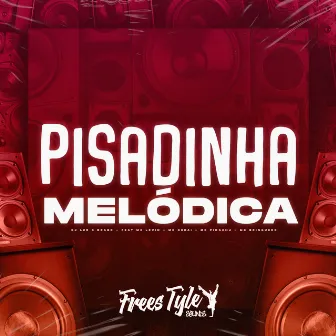 Pisadinha Melódica by DjLzr o Brabo