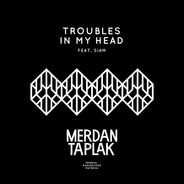 Troubles In My Head - Radio RMX