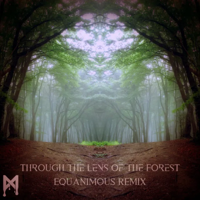 Through the Lens of the Forest - Equanimous Remix