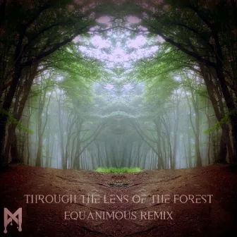 Through the Lens of the Forest (Equanimous Remix) by Mfinity