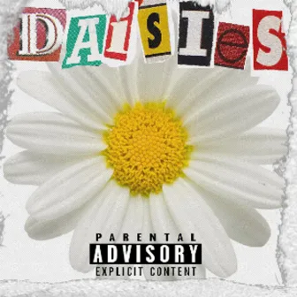 Daisies by Drew