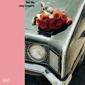 Not Me by Joey Origami