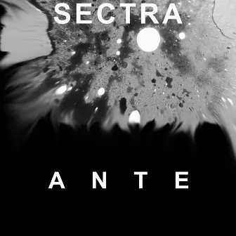 Ante by Sectra