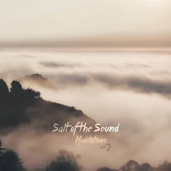 Meditations, Vol. 2 by Salt Of The Sound