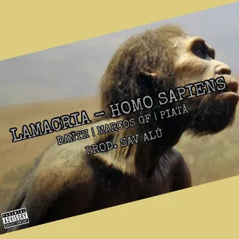 Homo Sapiens by LAMACRIA