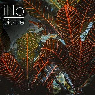 Biome by il:lo