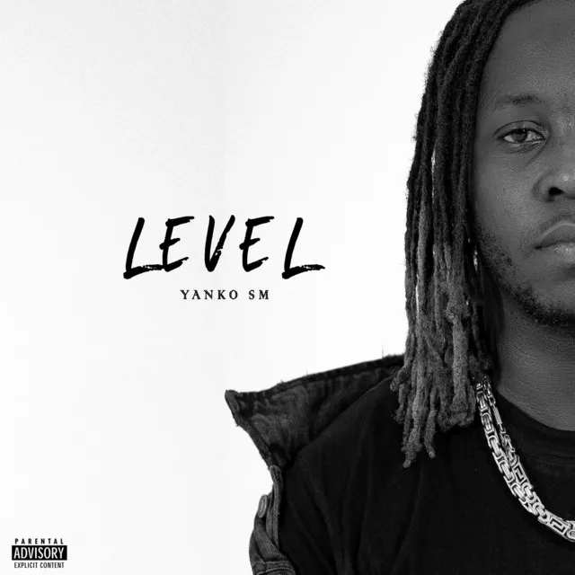 Level