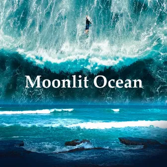 Moonlit Ocean by Beach Top Sounders