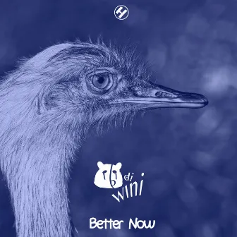 Better Now by Ibi Di Wini