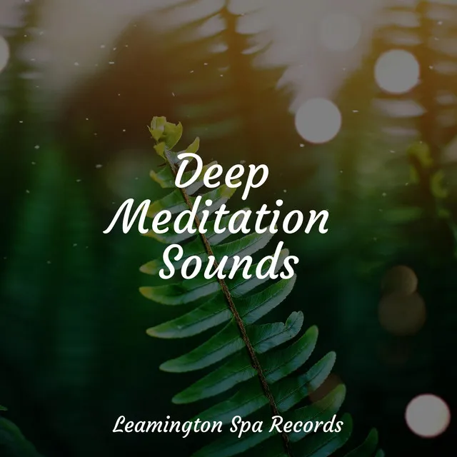 Music for Meditation and Relaxation