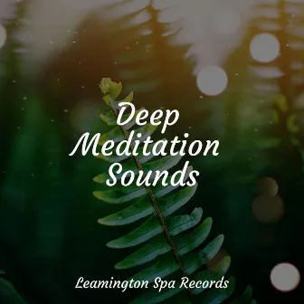 Deep Meditation Sounds by Meditation Zen