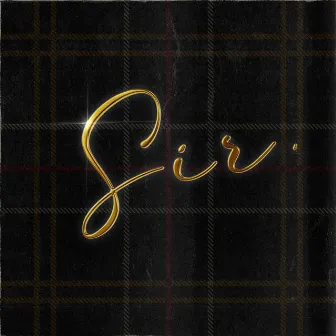 Sir by Duerre