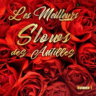 Les Meilleurs Slows Des Antilles, vol. 1 by Guerdy Blanc