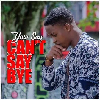 Can't Say Bye by Yaw Say