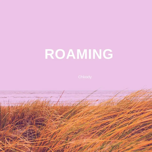 Roaming