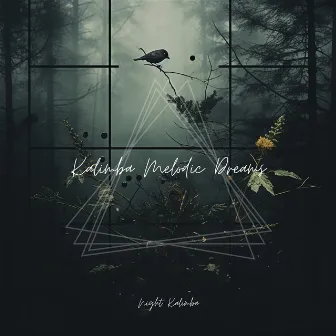 Kalimba Melodic Dreams by Night Kalimba