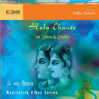 Holy Chants On Shiva And Shakti by Stephen Devassy