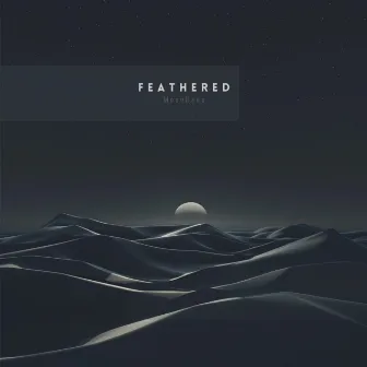 Feathered by MoonBees