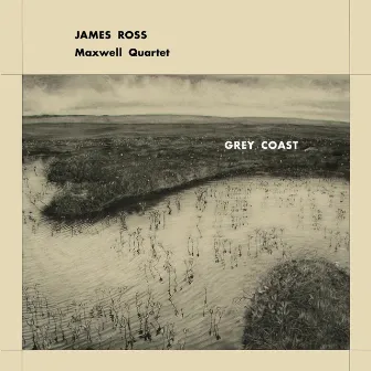 Grey Coast by James Ross