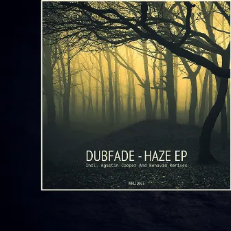 Haze EP by Dubfade