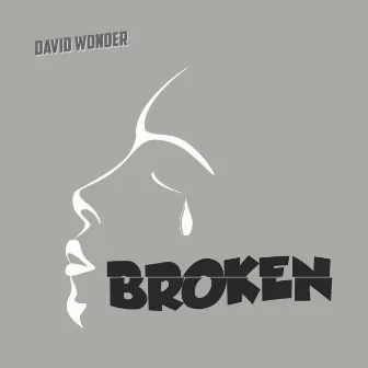 Broken by David Wonder