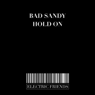 Hold On by Bad Sandy