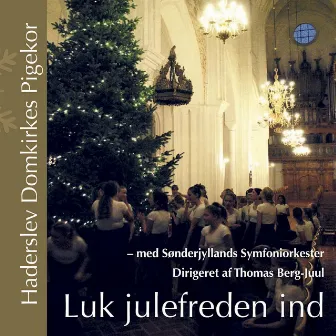 Luk julefreden ind by Thomas Berg-Juul