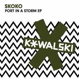 Port in a Storm EP by Skoko