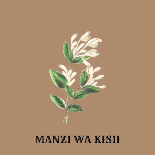 Manzi Wa Kisii