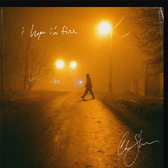 I Hope I'm Fine by Cole Steven