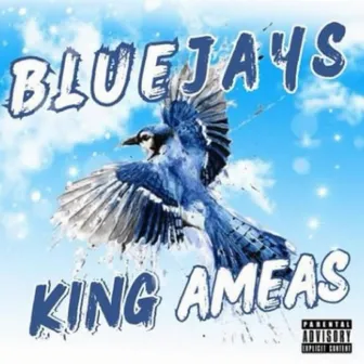 Blue Jays by King Ameas