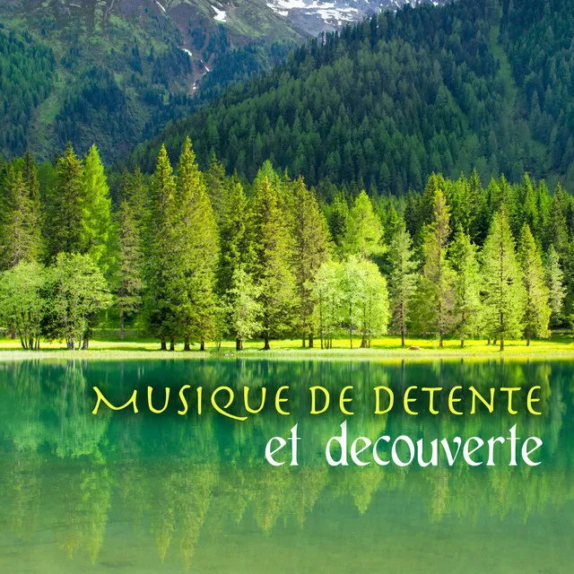 Musique de detente et decouverte