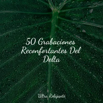 50 Grabaciones Reconfortantes Del Delta by Musica Para Relajarse