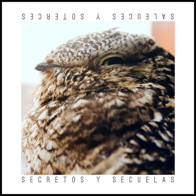 Secretos y Secuelas