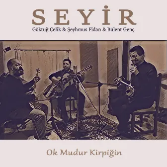 Ok Mudur Kirpiğin (Seyir) by Şeyhmus Fidan